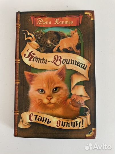 Книги лес дружбы