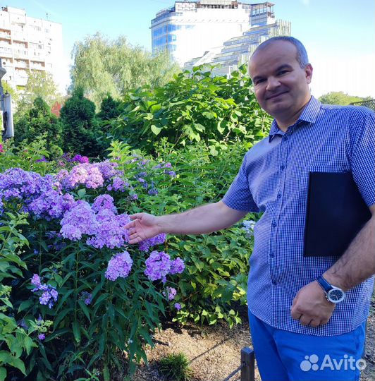 Личный помощник