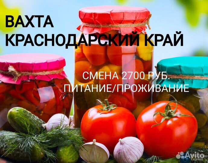 Разнорабочий на консервный завод. Вахта