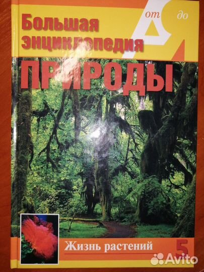 Энциклопедия