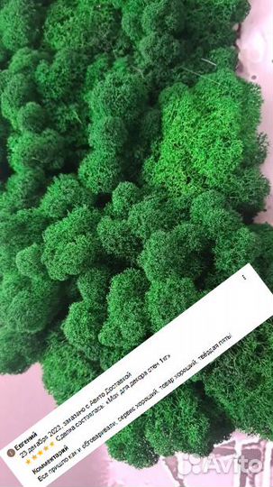 Стабилизированный мох для эко-дизайна