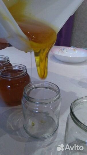 Башкирский цветочный мёд 2023г