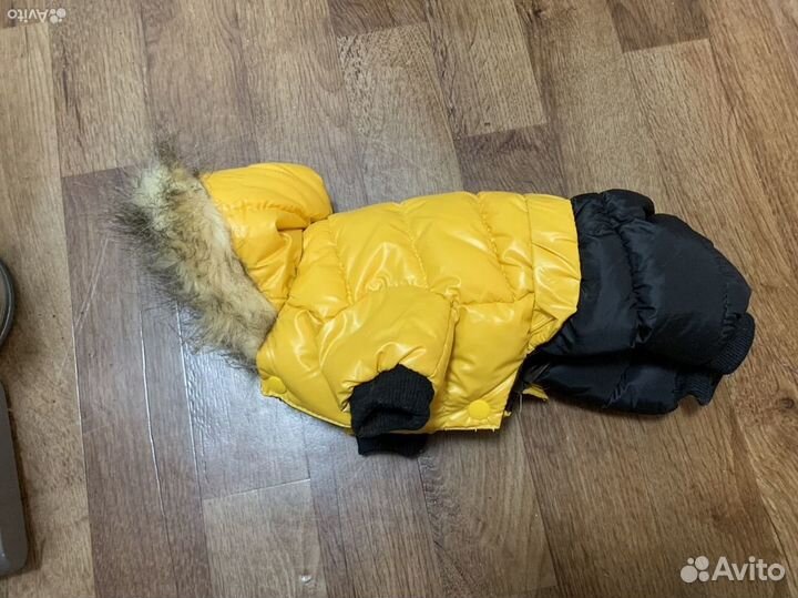 Комбинезон для маленькой собаки