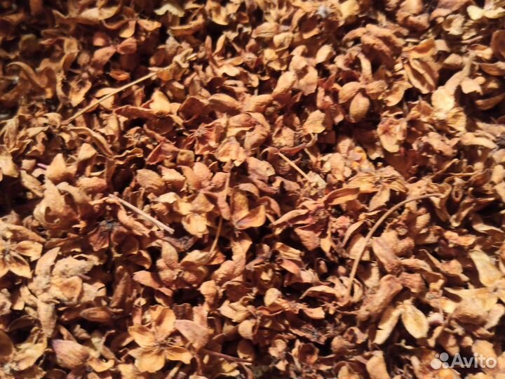 Чашелистики морошки