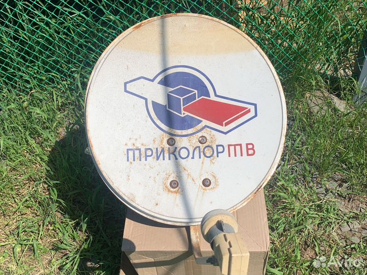 Тарелка триколор