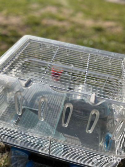 Клетка для хомяка