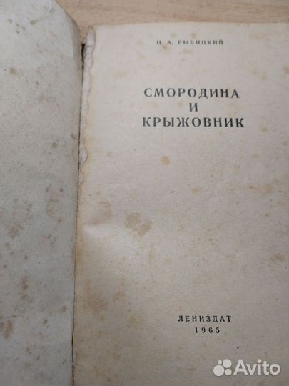 Смородина и крыжовник Рыбицкий Н. А