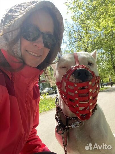 Выгул собак / Догситтер/Зооняня