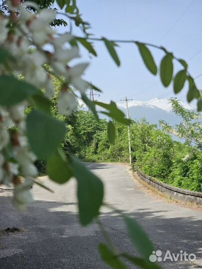 Масляные краски