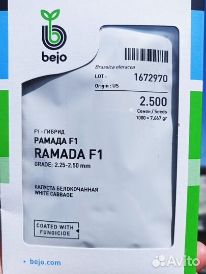 Семена капусты Рамада