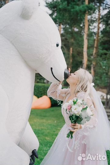 Поздравление Белого Мишки