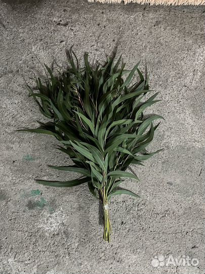 Эвкалипт веники для бани