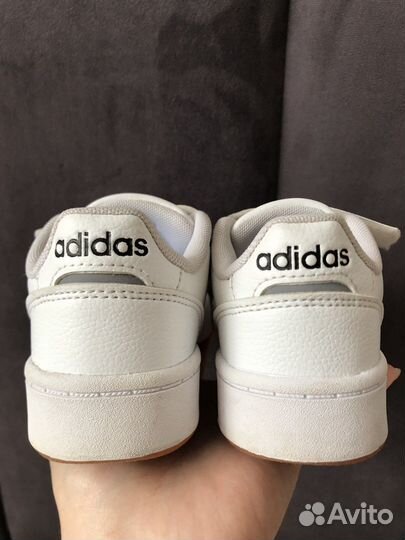 Кеды adidas