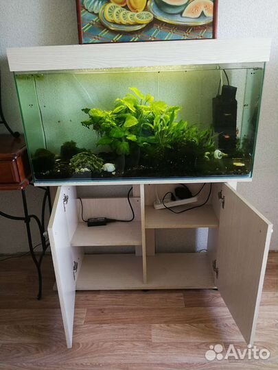 Аквариум с рыбками грунтом и растениями