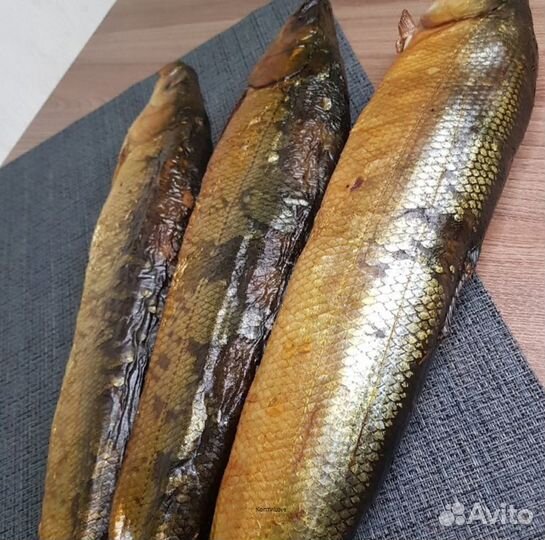 Коптильня холодного и горячего копчения