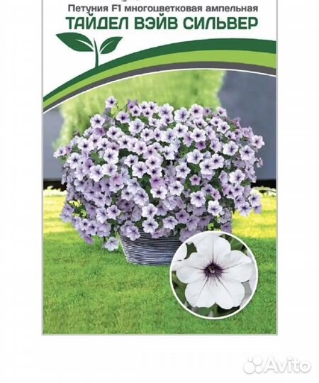 Петуния ампельная