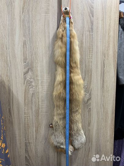 Шкура лисы рыжей