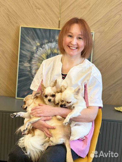 Кастрация котов, кобелей,стерилизация кошек