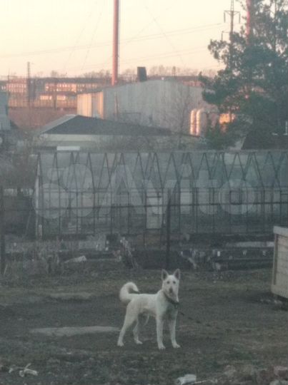 Дом 85 м² на участке 10 сот.