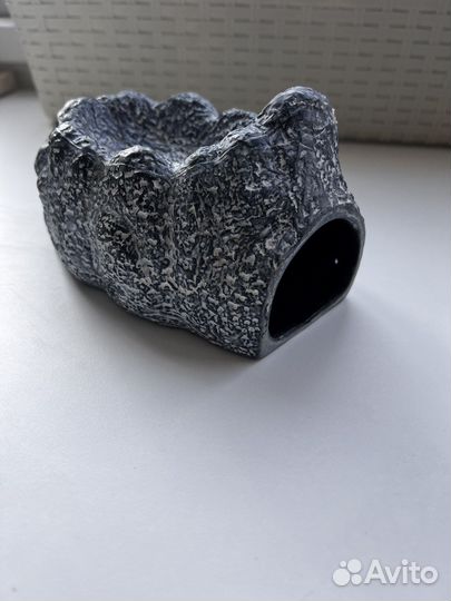 Эублефар с террариумом