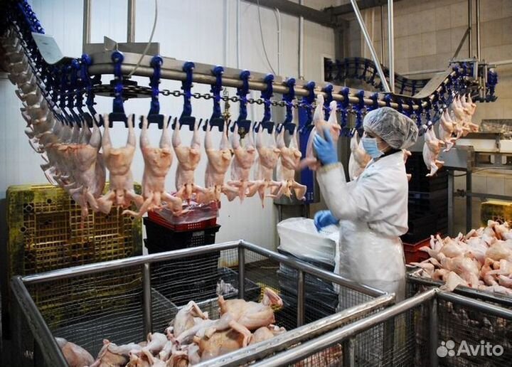 Оператор линии вахта Ставрополь