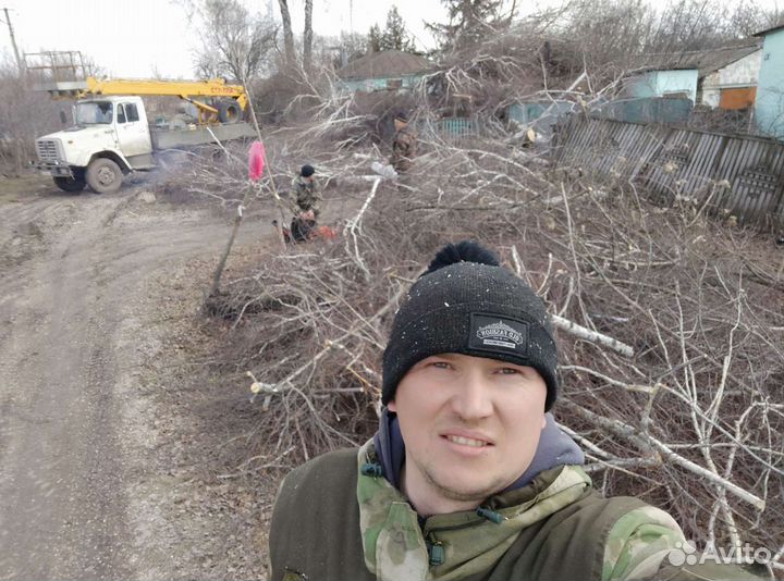Спил деревьев, кустарников