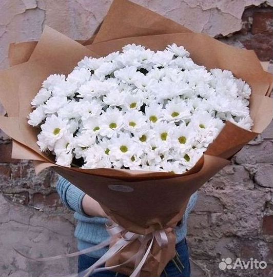 Хризантема Доставка цветов