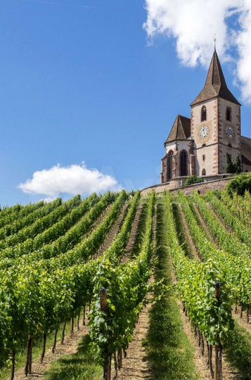 Участок 2 га (ИЖС)