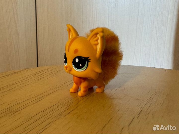 Littlest pet shop lsp мейн кун