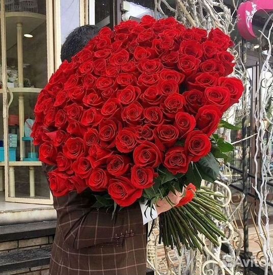 101 роза цветы букеты доставка 25 51 101 роза