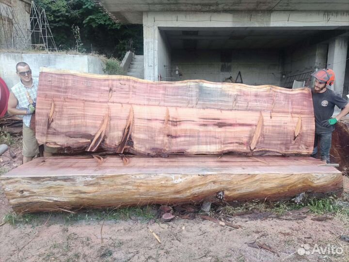 Слэб секвойя