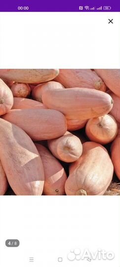 Семена тыквы