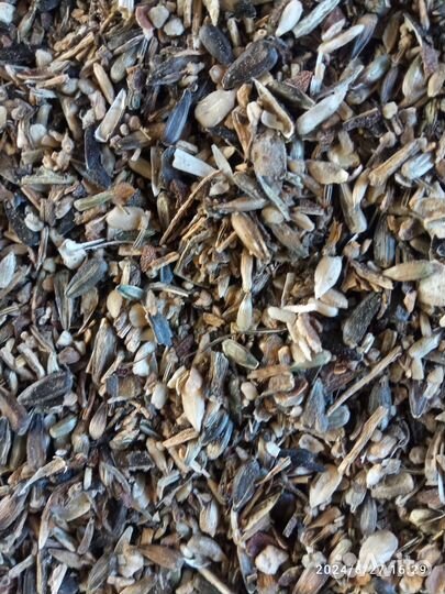 Отходы семечки