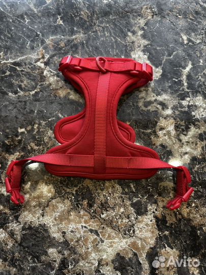 Амуниция wild one