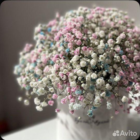 Букет Гипсофила, цвет Радужный, 4 шт