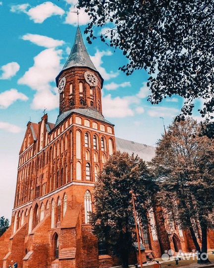 Бизнес туры в Калининград