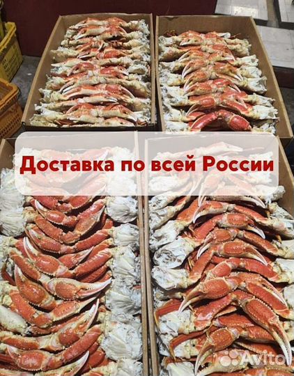 Морепродукты опт розница