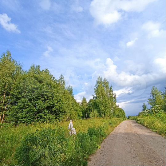 Участок 10 га (СНТ, ДНП)