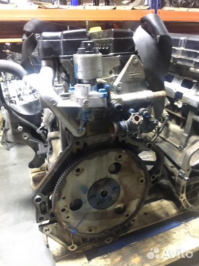 Двигатель 2,4 Z24SED Opel Antara Опель Антара