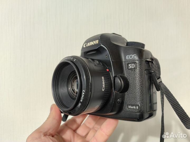 Canon 5D Mark II 50mm 1.8 137400 Кадров