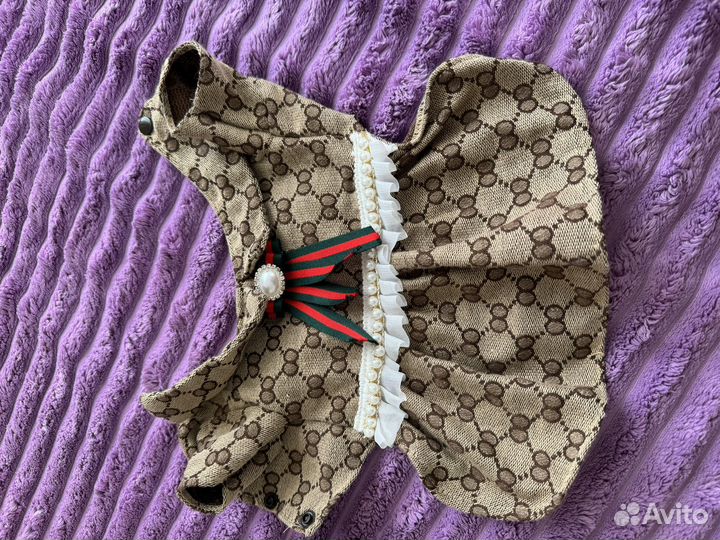 Одежда для собак мелких пород