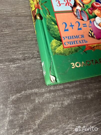 Большая энциклопедия дошкольника Герасимова А.С