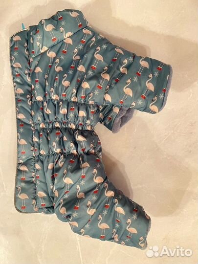 Одежда для маленьких собак