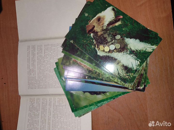 Набор открыток Наши верные друзья 1987 20шт вып 1