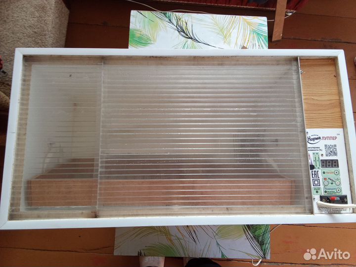 Инкубатор Норма Луппер на 72 яйца