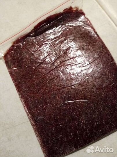 Замороженный корм для аквариумных рыб