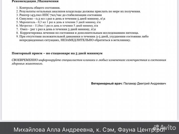 Котика заразили чумкой