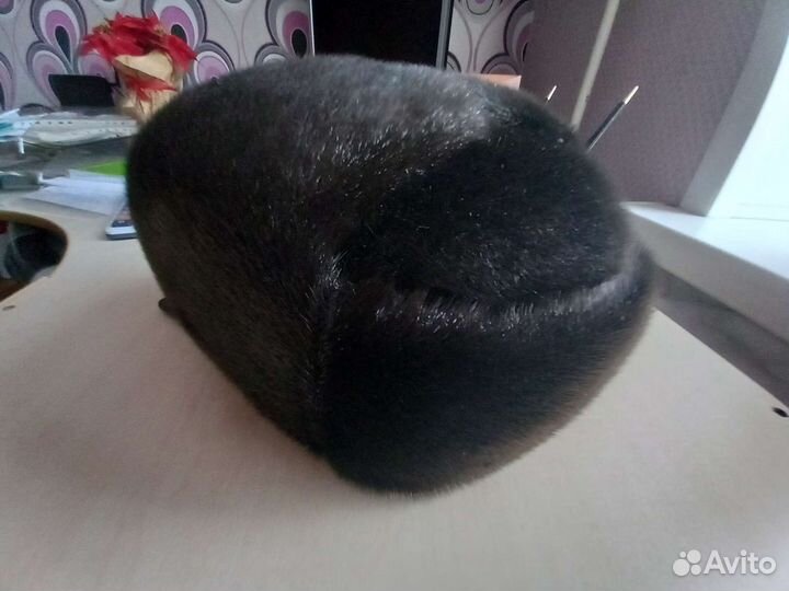 Мужская шапка из меха нерпы