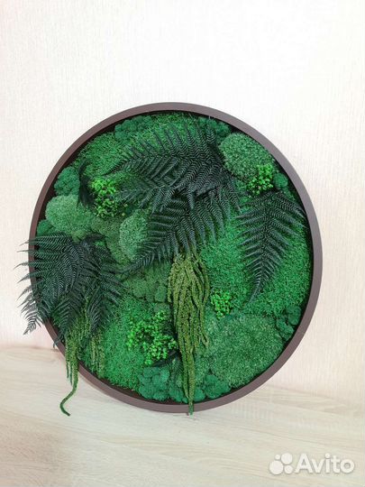 Панели, картины и панно из мха