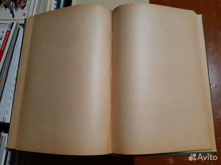 Лекции по физиологии нервной системы (1934)